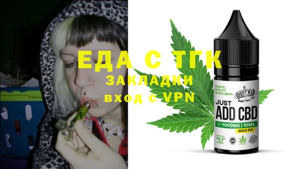индика Надым