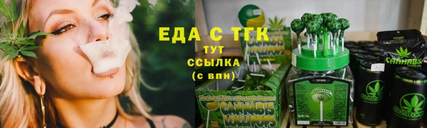 индика Надым