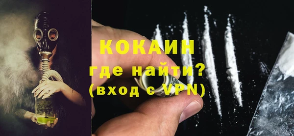 индика Надым