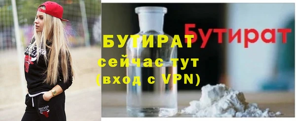 индика Надым