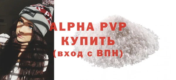 индика Надым
