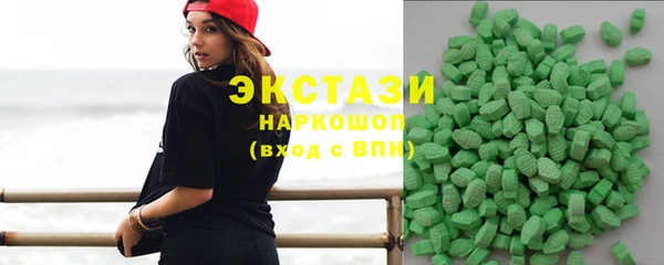 индика Надым