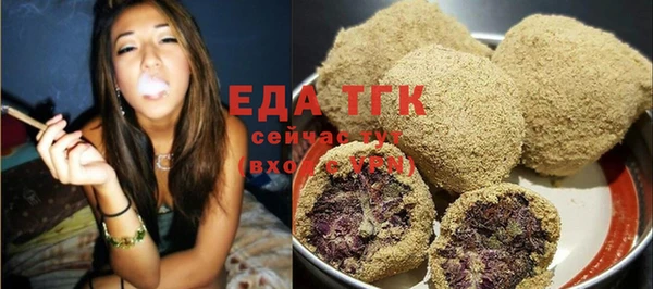 индика Надым