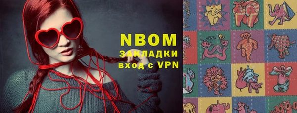 индика Надым