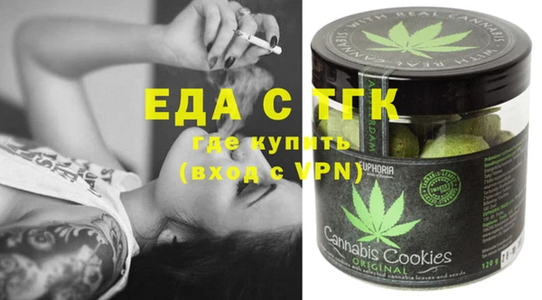 индика Надым