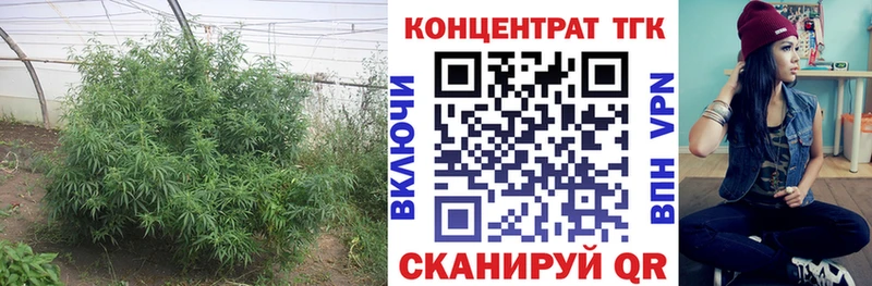 это официальный сайт Новоульяновск ТГК гашишное масло