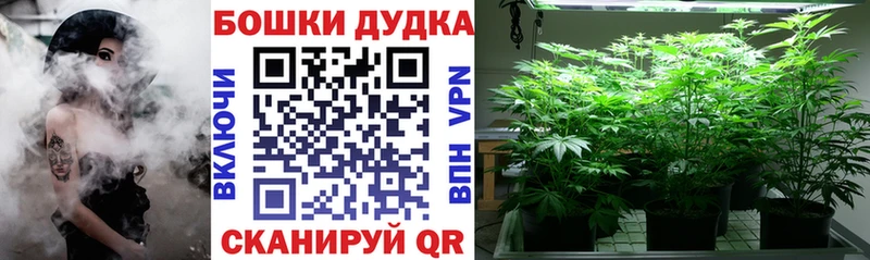 МАРИХУАНА Amnesia  Новоульяновск 